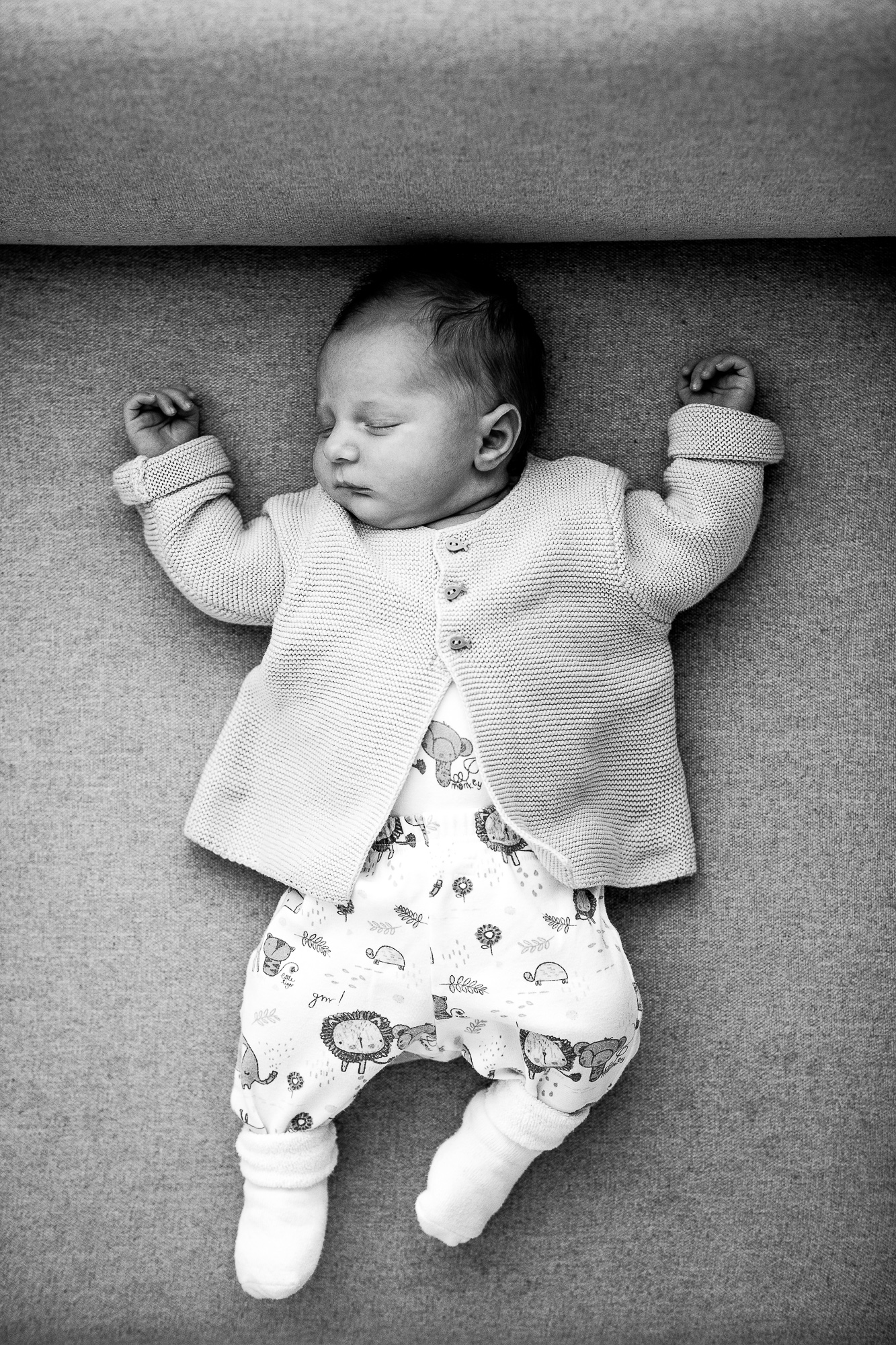 Export x3 1DX28377 Bearbeitet Familienfotoshooting 2019 Hefti 2